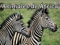 Animales de África