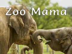 Zoo Mama