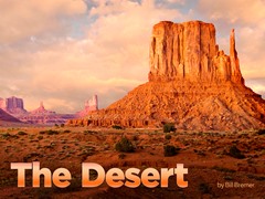The Desert