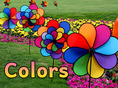 Colors