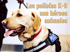 Los policías K-9 son héroes animales