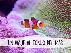 Un viaje al fondo del mar