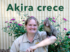 Akira crece