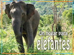 Un hogar para elefantes