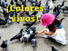 ¡Colores vivos!