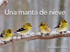 Una manta de nieve