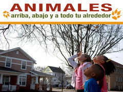 Animales arriba, abajo y a todo tu alrededor
