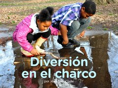 Diversión en el charco