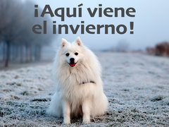 ¡Aquí viene el invierno!