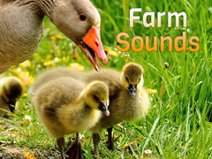 Farm Sounds