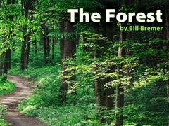 The Forest