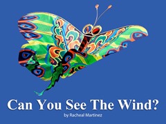 Can You See the Wind?