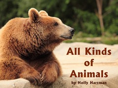 All Kinds of Animals