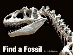 Find a Fossil