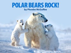 Polar Bears Rock!