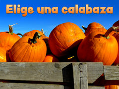 Elige una calabaza