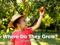 Where Do They Grow?