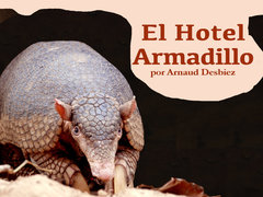 El Hotel Armadillo