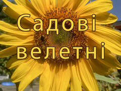 Садові велетні