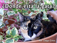 ¿Dónde está la gata?