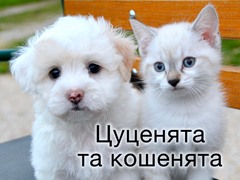 Цуценята та кошенята