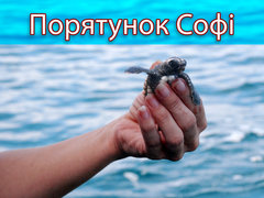 Порятунок Софі