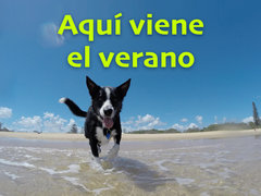 Aquí viene el verano