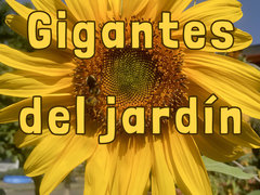 Gigantes del jardín