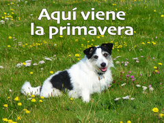 Aquí viene la primavera