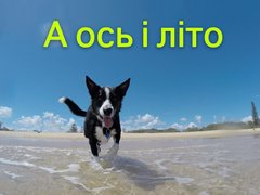 А ось і літо