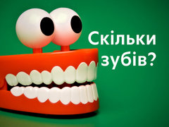 Скільки зубів?