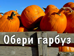 Обери гарбуз