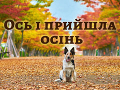 Ось і прийшла осінь
