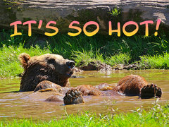 It's So Hot!