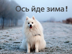 Ось йде зима!
