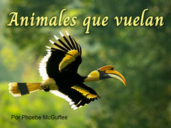 Animales que vuelan