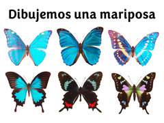 Dibujemos una mariposa