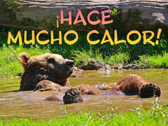 ¡Hace mucho calor!