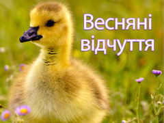 Весняні відчуття