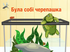 Була собі черепашка