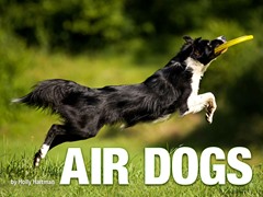 Air Dogs