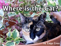 Where is the Cat?
