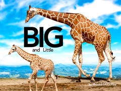 Big and Little